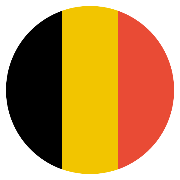 كيف تطلب ترجمة معتمدة للسفارة السفارة البلجيكية؟